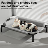 Elevated Mesh Cooling Dog Bed with Removable Bolsters