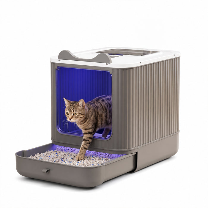 Enclosed Cat Litter Box with Top and Front Entry